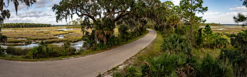 Beyond Jacksonville: Epic Road Trips to Explore from the River City